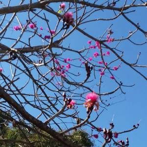 Meet your Posher, Roberto